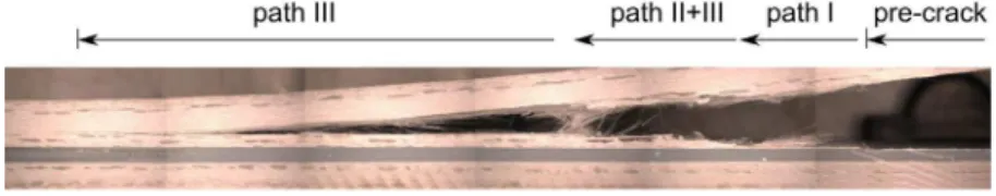 Figure 9: P-a diagram for crack propagating in path I, II and III (c = 150 mm, c g  = 38 mm).