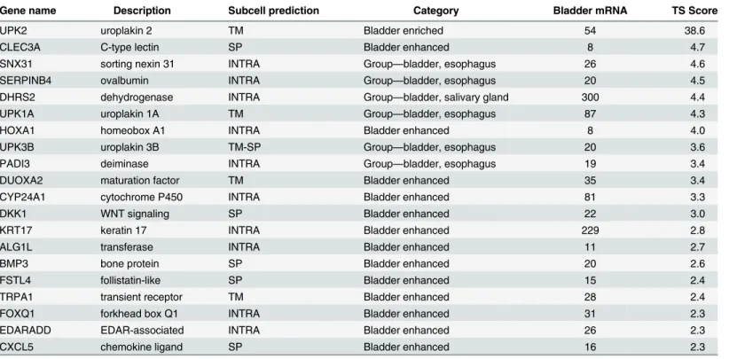 Table 2. The 20 most elevated genes in urinary bladder according to the transcriptome profiling.