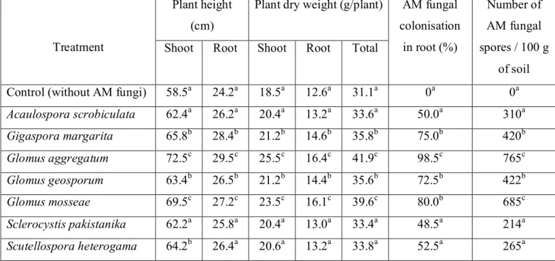 Table  1.    Different  native  AM  fungi  and  their  influence  on  growth  and  oil  content  in  leaf  of  Pogostemon patchouli  