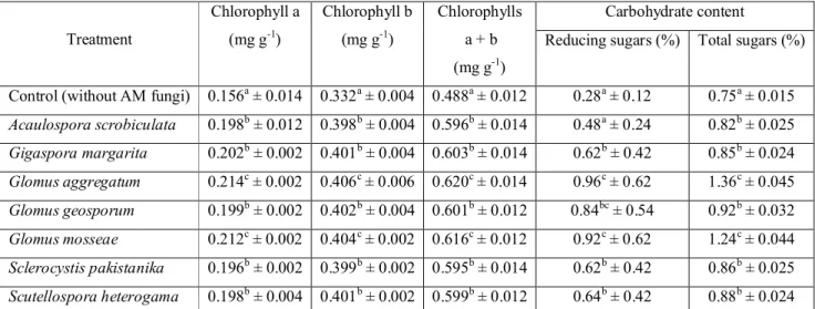 Table 3.  Influence of native AM fungi on chlorophyll content and amount of sugars in the leaves of P
