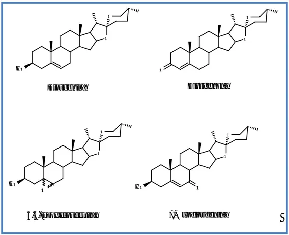 Figura 7 – Estrutura química da diosgenina e dos seus derivados  diosgenona, 5,6-epoxidiosgenina e 7-oxodiosgenina 