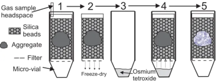 Figure 1. Schematic diagram showing a series of five steps in the treatment of the aggregates in their vials: (1) headspace gas removal, (2) freeze-drying, (3) and (4) staining with OsO 4 , and (5) scanning in the synchrotron beamline.