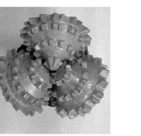 Fig. 7. Tooth design in an isoangular bit to ensure uniform impact energy whilst in service