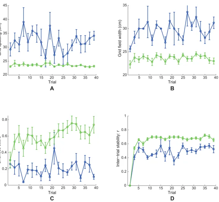 Figure 4 compares neurophysiological data [6] with simulation results for Case 2 regarding the distribution of grid spacing at different anatomical locations along the dorsoventral axis of MEC.