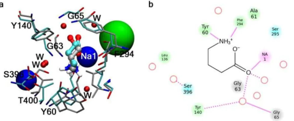 Figure S8 from the two dissociation simulations and the two translocation simulations)