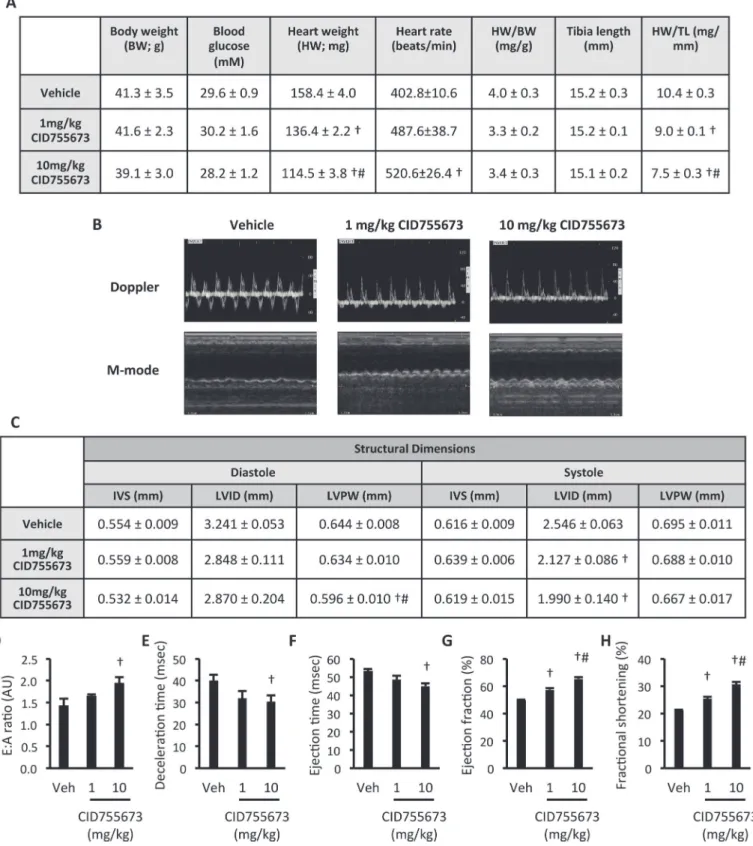 Fig 4. The PKD inhibitor CID755673 enhances cardiac function in db/db mice. (A) Physiological and cardiac morphological measures; (B)