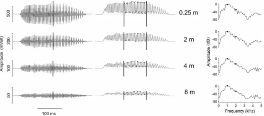 Fig 2. Oscillograms (left column), amplitude envelope (middle column) and power spectra (right column, 440 points, 100.23 Hz bandwidth) of a call of an Eupsophus emiliopugini male recorded at different distances from its burrow opening (air temperature: 8.