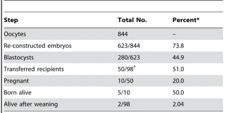Table 2. Efficiency of steps in cloned process from oocytes to transgenic calves.