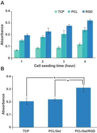 Fig 6: A. MTT assay results of hBMSC adhesion on differ- differ-ent scaffolds at 1, 2, 3 and 4 hours after cell seeding