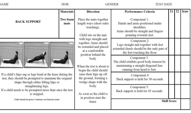 Fig 3. Back-support scoresheet.