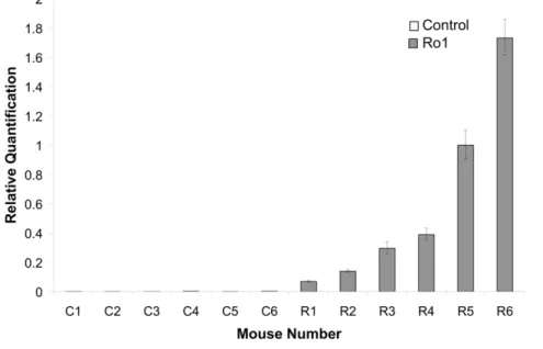 Figure 1. Variable expression of the Ro1 receptor in Ro1 mice at 9 days off doxycycline