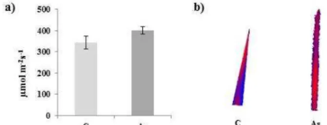 Figure  2  Effect  of  As  on  photosynthesis  in  plant  shoots.  a)  Content  of  chlorophyll a (ch a) and b (ch b)