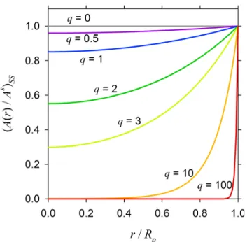 Figure 4. Normalized (A(r)/A s ) SS profiles as a function of r/R p for different values of the dimensionless diffuso-reactive parameter q.
