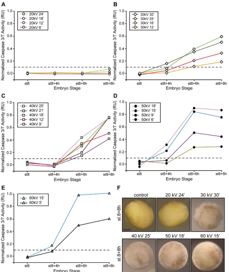 Figure 3. A minimum energy value is required to trigger apoptosis. Embryos were irradiated (c-IR) or not (control) before the MBT (st.6) with either 20 kV (A), 30 kV (B), 40 kV (C), 50 kV (D) or 60 kV (E) of energy for the indicated times, collected at st.