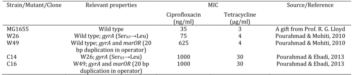 Table 1. Bacterial strain and mutants 