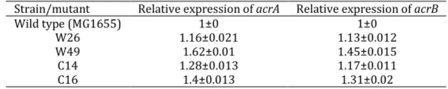 Table 3. Relative expression of acrA and acrB in wild type (MG1655) and mutants as determined by real time PCR 