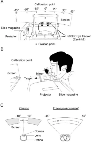 Figure 2. Data obtained from a typical participant (baseball player) using small targets