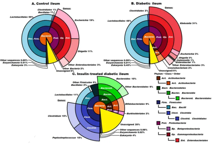 Figure 2. Compositions of the control, diabetic and insulin-treated diabetic microbiomes in the ileum at domain, phylum, class and order levels.
