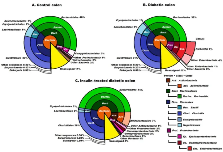 Figure 3. Compositions of the control, diabetic and insulin- treated diabetic microbiomes in the colon at domain, phylum, class and order levels.