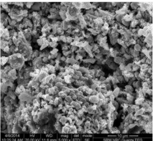Fig. 3.1 XRD plot of MoO 3  nanoparticles  3.2  Scanning  Electron  Microscopy:  The  FE-SEM  analysis was done to study the surface morphology of  MoO 3   nanoparticles
