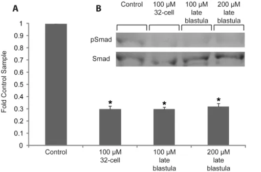 Figure 5. Dorsomorphin inhibits phosphorylation of Smad1/5. Bmp signalling activity was quantified by measuring phosphorylation of Smad 1/5 at the late gastrula stage