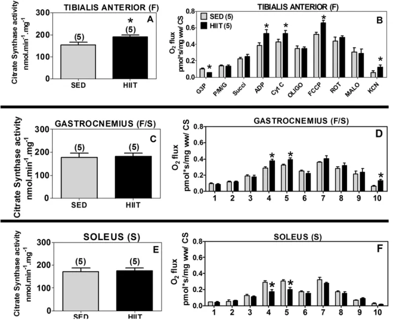 Fig 3. Citrate synthase (CS) activity and oxygen flux in respirometry experiments normalized to CS activity