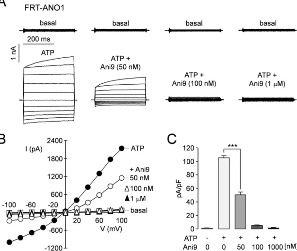 Fig 5. Patch-clamp analysis of ANO1 inhibition by Ani9 in FRT-ANO1 cells. A) Whole-cell ANO1 current was recorded at a holding potential at 0 mV and was pulsed to voltages between ± 100 mV (in steps of 20 mV) in the absence and presence of 50 nM, 100 nM an