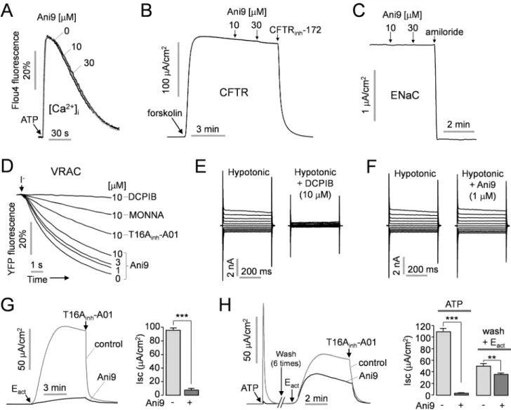 Fig 4. Characterization of Ani9. A) Intracellular calcium concentration was measured using Fluo-4 in FRT cells