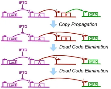 Figure 9. Example of optimization, applied to the compiled genetic regulatory network from Figure 8