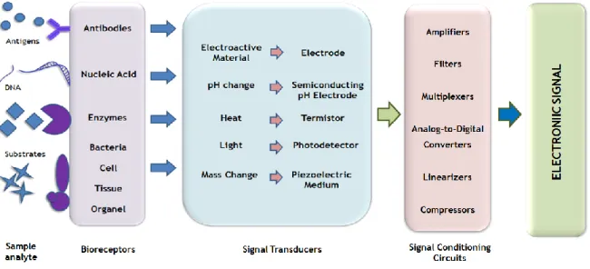 Figure 2.1. Schematic representation of biosensor device. 