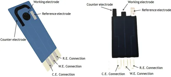 Figure 2.2. Electrochemical biosensor as a screen printed device and its constitution