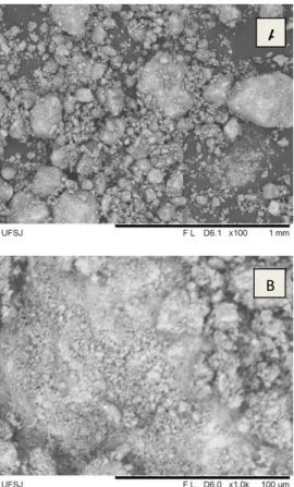 Figura 6 - MEV de amostras de HAp sinterizadas a  1200°C  por  2  horas.  (a)  aumento  de  100X  (b)  aumento de 1000X