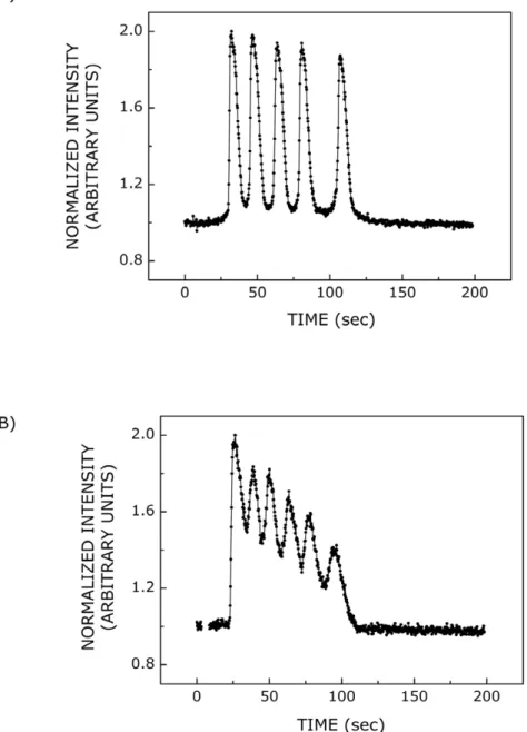 Figure 5. Calcium responses induced by ATP. Representative (A) distinct or (B) overlapping calcium spikes observed upon stimulation with 500 nM ATP