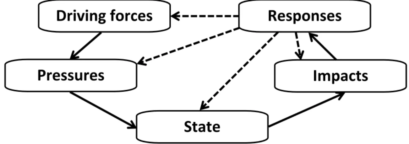 Figure 1. Overview of the continuous feedback process in the DPSIR framework 