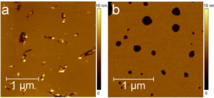 Fig. 3. DOPC and DOPC/DHA lipid bilayers. (a) Height AFM images of DOPC (2.5 6 2.5 mm 2