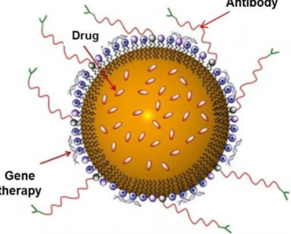 Figure 5 - Triple functional nanocarrier 