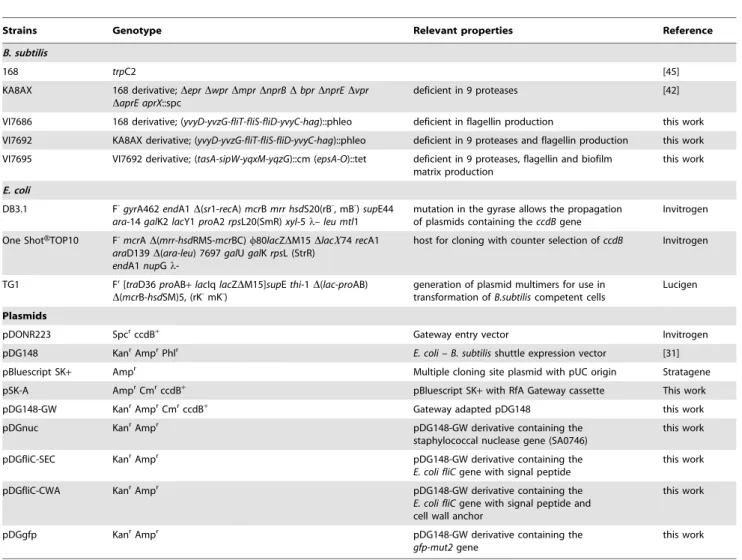 Table 1. Bacterial strains and plasmids used in this study.