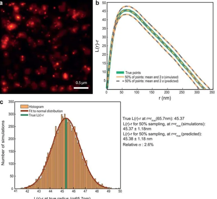 Fig 1. Ripley’s L ( r ) − r function is invariant to random subsampling. (a) Probability map representation of a PALM image of β2–adrenergic receptor molecules labeled with mEos2 on the plasma membrane of HeLa cells, post agonist addition