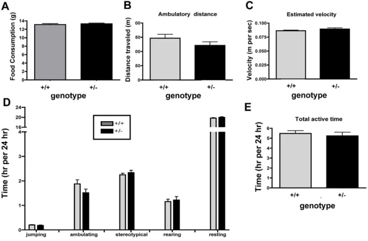 Figure 5. Increased fat accumulation is not the result of increased food consumption or decreased physical activity