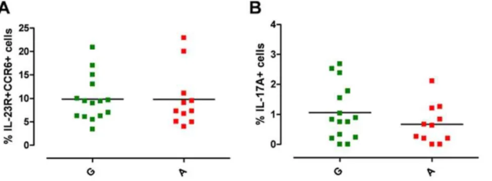 Figure 1. IL23R R381Q gene variant and circulating Th17 cells. PBMCs from normal G (green squares) or protected A (red squares) donors were stained for Th17 cell surface markers and for IL-17A production