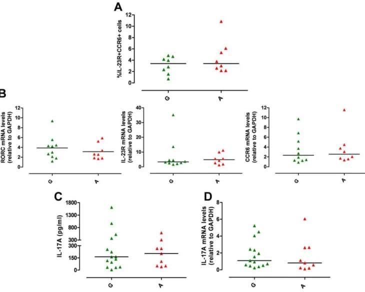 Figure 3. IL23R R381Q gene variant does not affect Th17 differentiation. IL-1b/IL-23-polarized Th17 cells were used for phenotypic analysis (on d13) or assayed for IL-17A mRNA expression (on d14) or secretion (on d15)