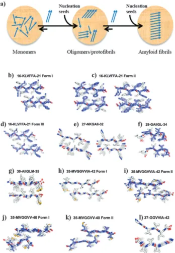 Fig. 1 Main features of amyloidogenesis. (a) Amyloidogenesis is a highly ordered nucleation-dependent process, where monomers give rise to intermediate structures (oligomers/protofibrils) that later give rise to the mature amyloid fibril