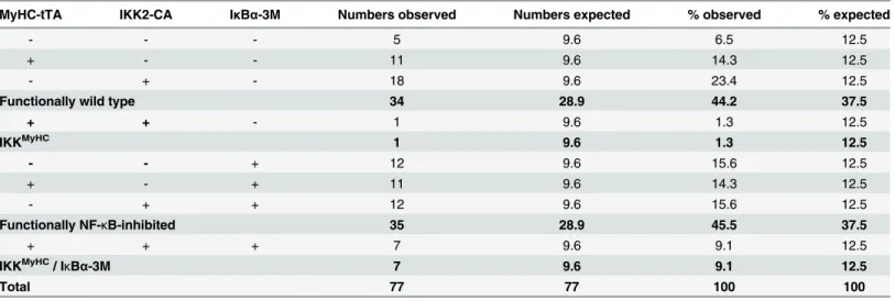 Table 2. Embryonic lethality induced by constitutively active IKK2 can be prevented by an I κ B α superrepressor.