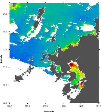 Figure 1 shows the intensive study areas in the Ariake Sea  area, Kyushu, Japan. 