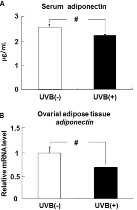 Figure 2. UVB irradiation PPARc, C/EBPa, C/EBPb, aP2, IL-6, and MCP-1 expression in hairless mice