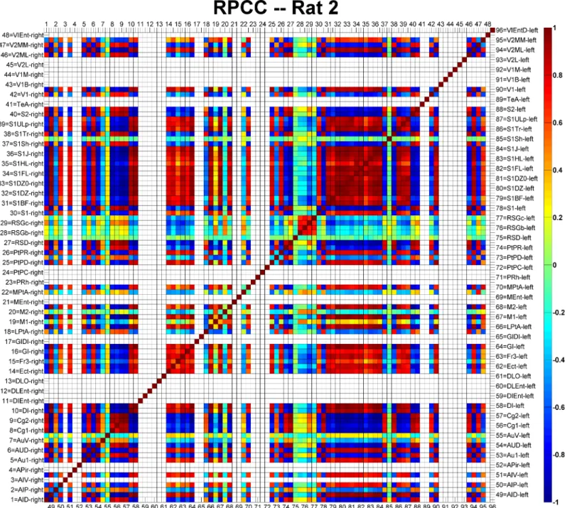 Fig 5. Example of the regional pairwise correlation coefficient (RPCC) map of the averaged resting-state time series in the cortical regions of Rat 2.
