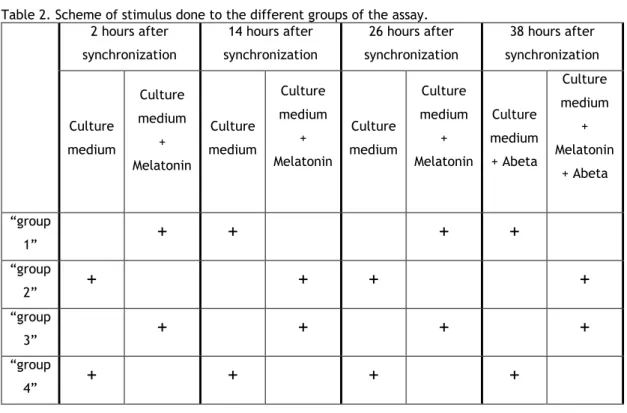 Table 2. Scheme of stimulus done to the different groups of the assay. 
