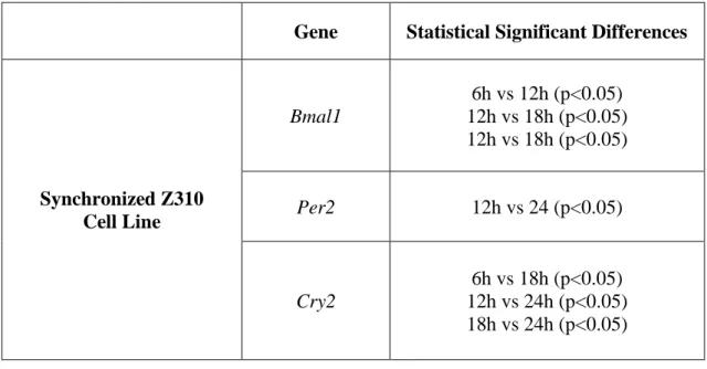 Table 5. Statistical differences between ZTs for each gene and condition tested in synchronized Z310 cell  line