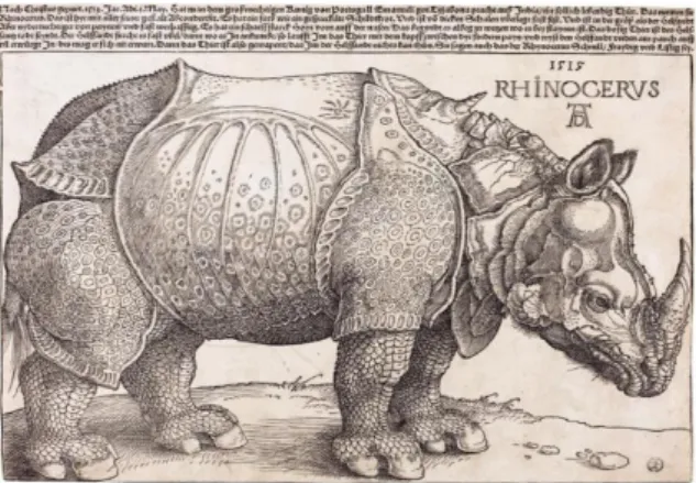 Figure 3. ‘Ganda’, by Albrecht Dürer, 1515. 