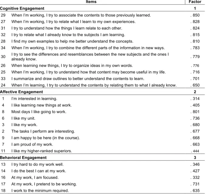 Table 1. Item loadings in rotated matrix. 